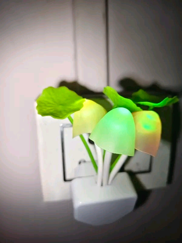 Night lamps for masroom type pack of 1